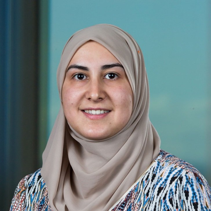 Alaa Abdul-Ridha researcher profile