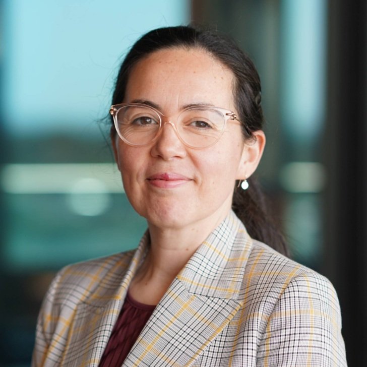Carolina Chavez researcher profile