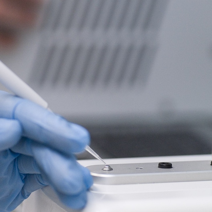 lab