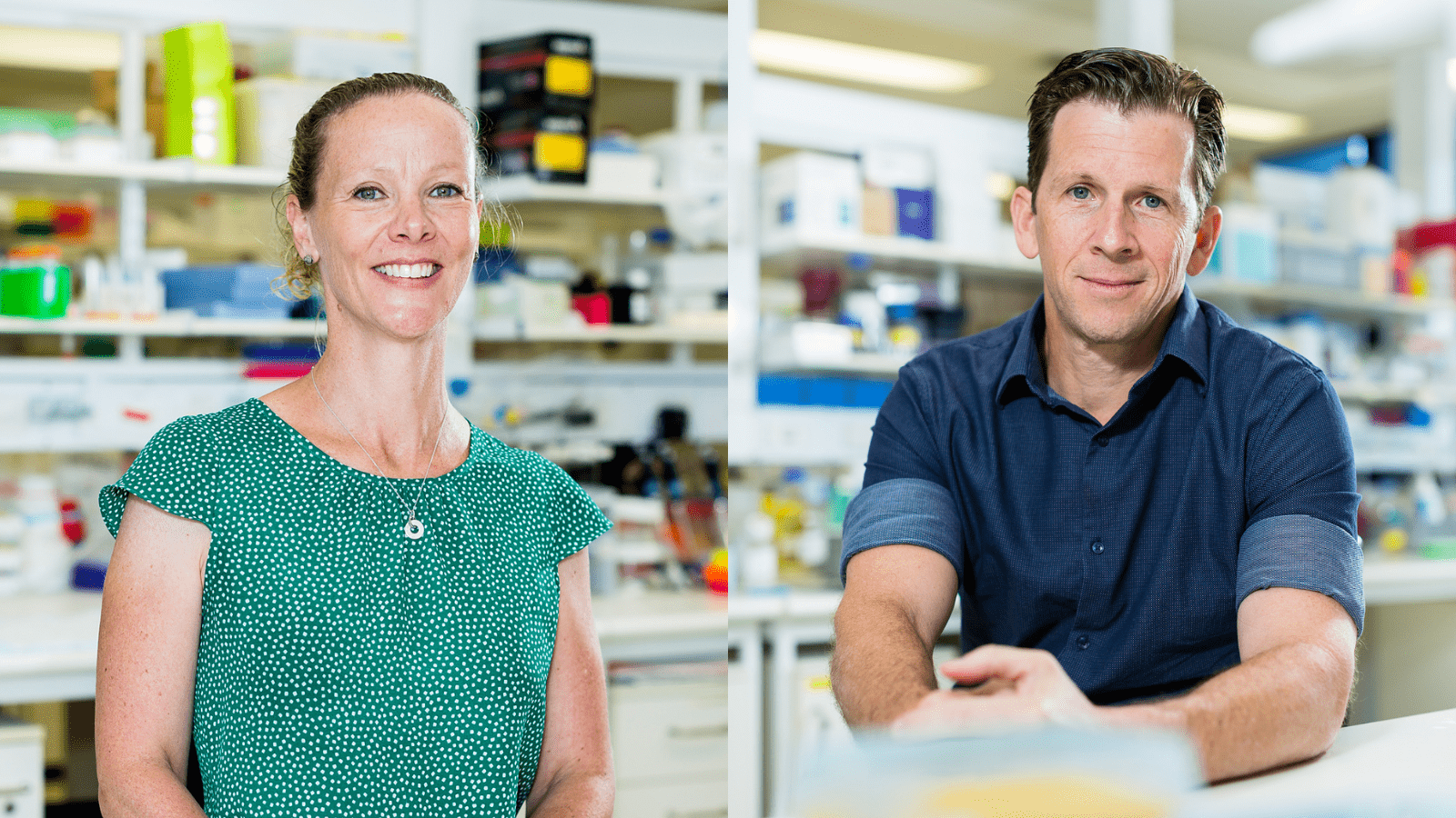 Meet the stemcell ‘superlab’ advancing brain repair The Florey