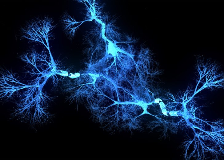 Blue neurons