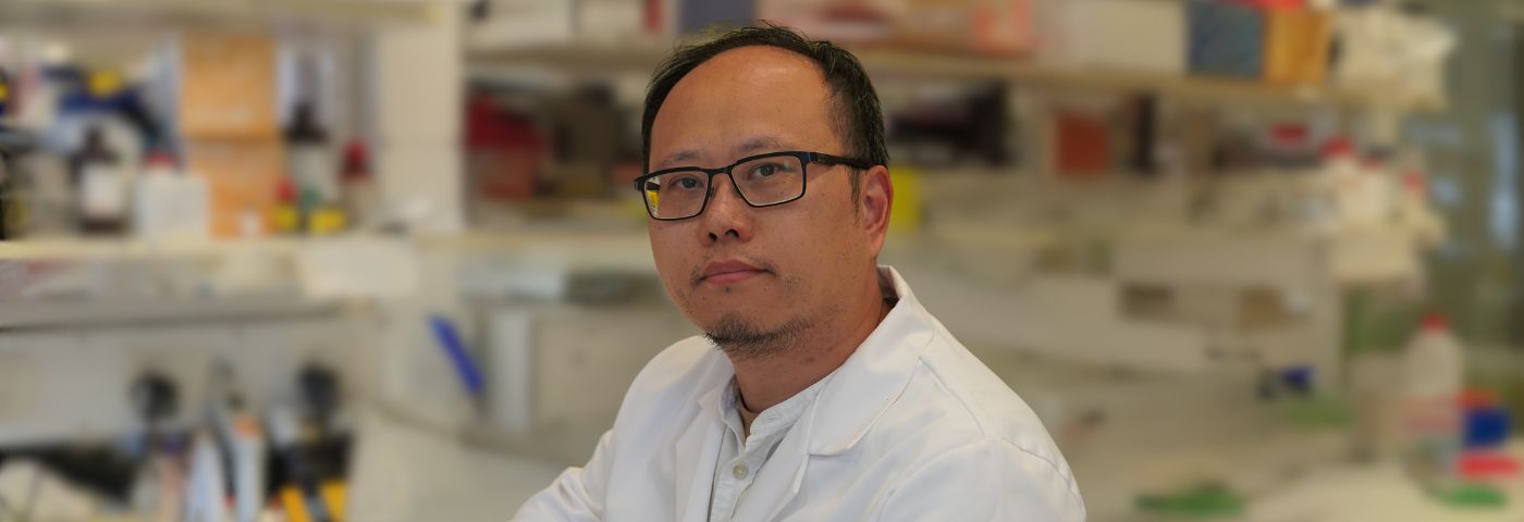 Liang Jin improve Alzheimer’s medication regimens