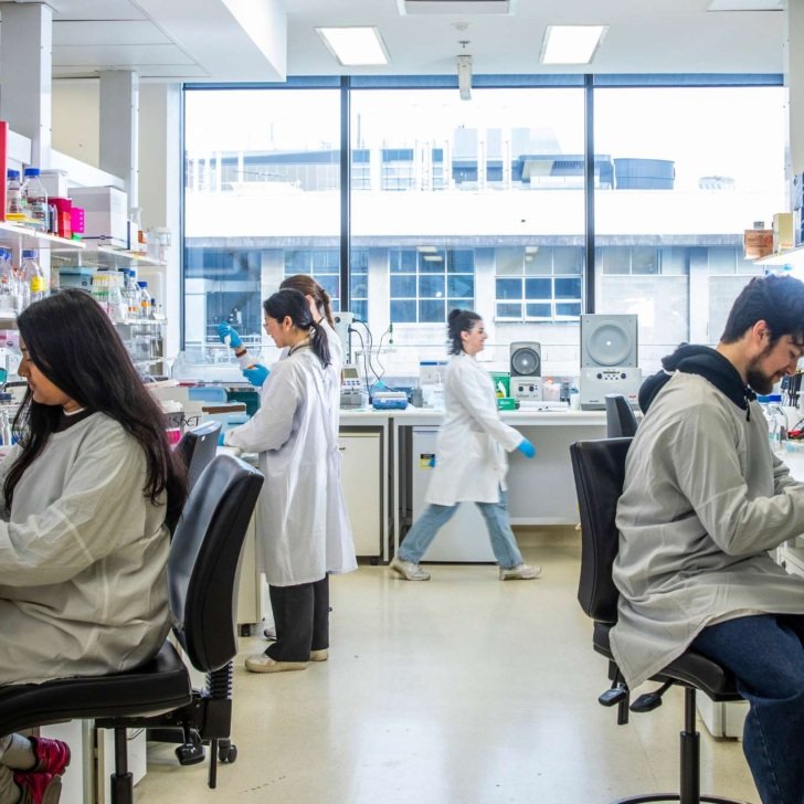 Four researchers working in a lab, wearing white lab coats. Two are seated working individually. Two are standing together and talking. Another researcher walks by in the background.