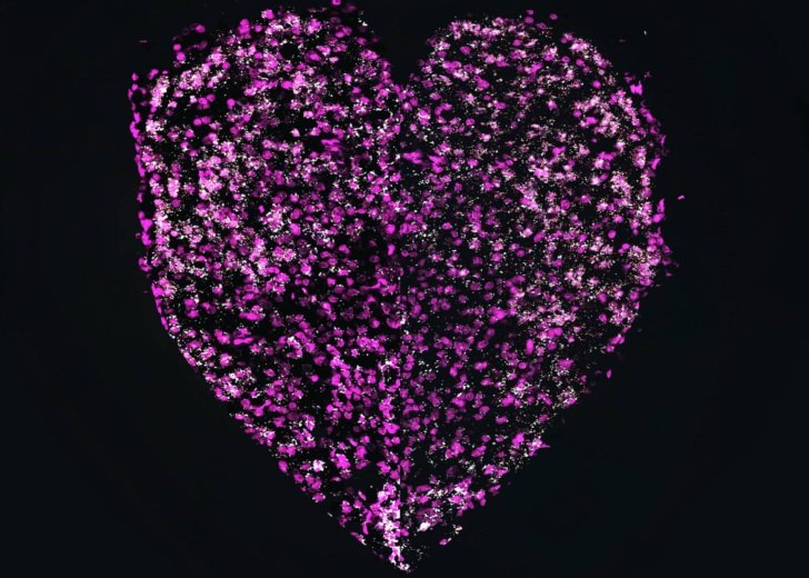 Sparkling Pink Heart – microscopy image