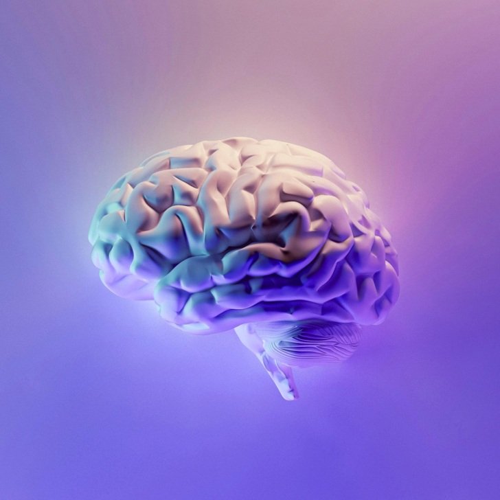 Purple 3D image of a human brain