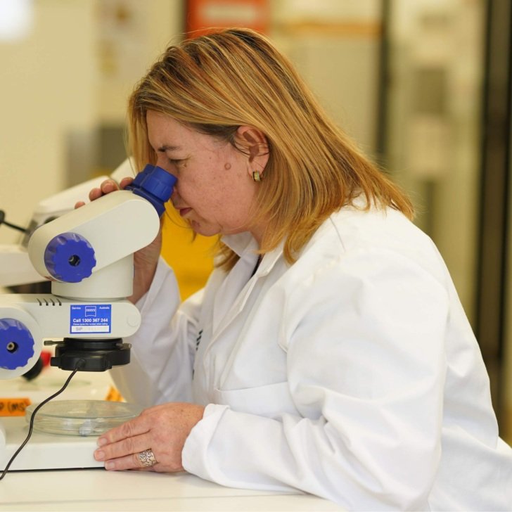 Woman researcher with shoulder-length dark blonde hair and wearing a white laboratory coat looks into a microscope eye piece in a Florey lab.