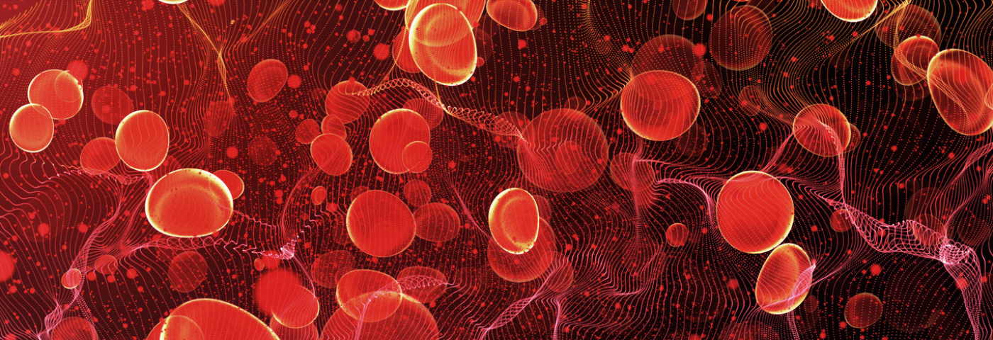 Blood brain barrier