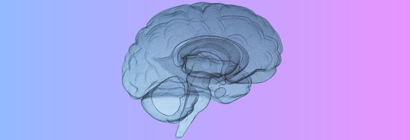 Vincent Thijs Neurology paper