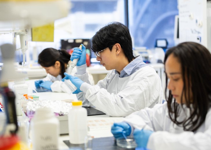 Mendelsohn Student Award option 2