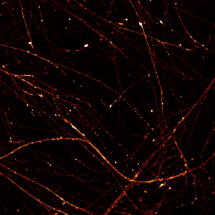 Constellations