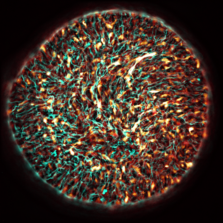 Solar Flare