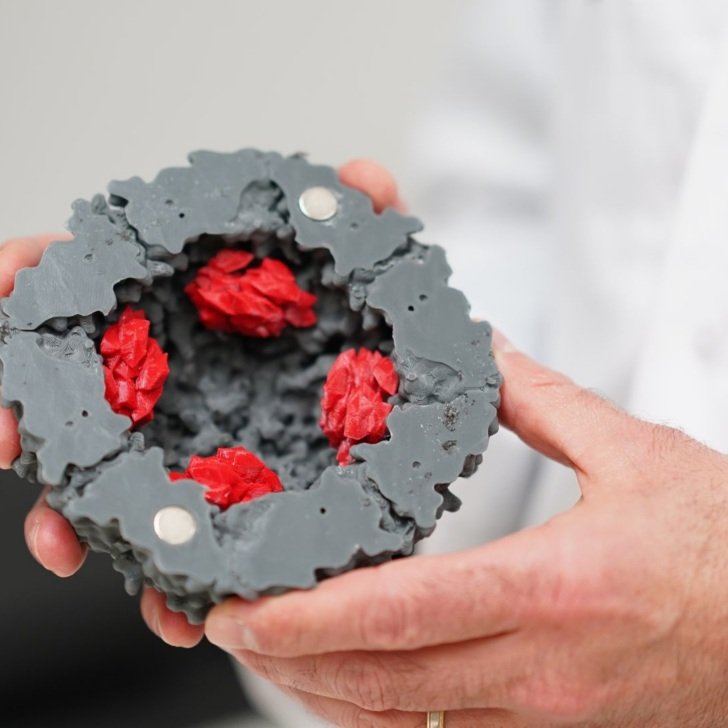 A figurine showing the iron content (red) within ferritin (grey) which the FeBI technology measures