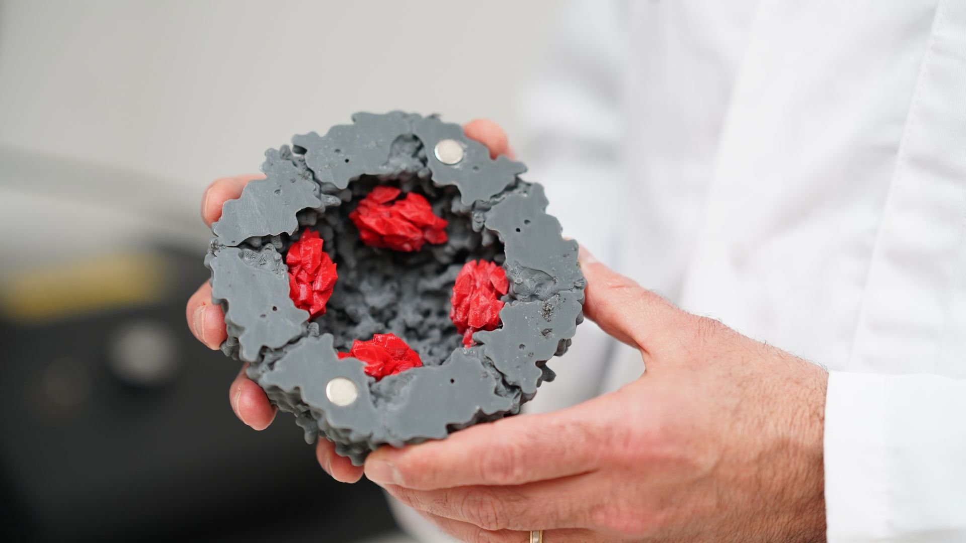 A figurine showing the iron content (red) within ferritin (grey) which the FeBI technology measures